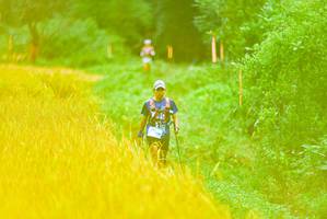 BIB: 
                            <button type="button" onclick="openModal(13455432)" class="btn btn-primary btn-sm float-right btn-popup" data-toggle="modal" data-target=".modal-high-quality">
                        <i class="fas fa-shopping-cart"></i> Add to Cart
                    </button>
                                            <button type="button" onclick="isThisMe(13455432, true)" class="btn btn-success btn-sm float-right btn-popup btn-isme hidden" data-toggle="tooltip" data-placement="bottom" title="นี่คือรูปของคุณใช่ไหม คลิกที่นี่เพื่อเอาเข้าอัลบั้ม">
                        <i class="fas fa-plus"></i> Add to album
                    </button>
                    <button type="button" onclick="isThisMe(13455432, false)" class="btn btn-warning btn-sm float-right btn-popup btn-isnotme hidden">
                        <i class="fas fa-ban"></i> Remove from album
                    </button>